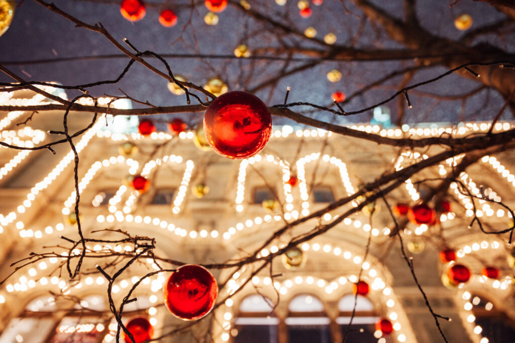 Private Christmas Lights Tours NYC