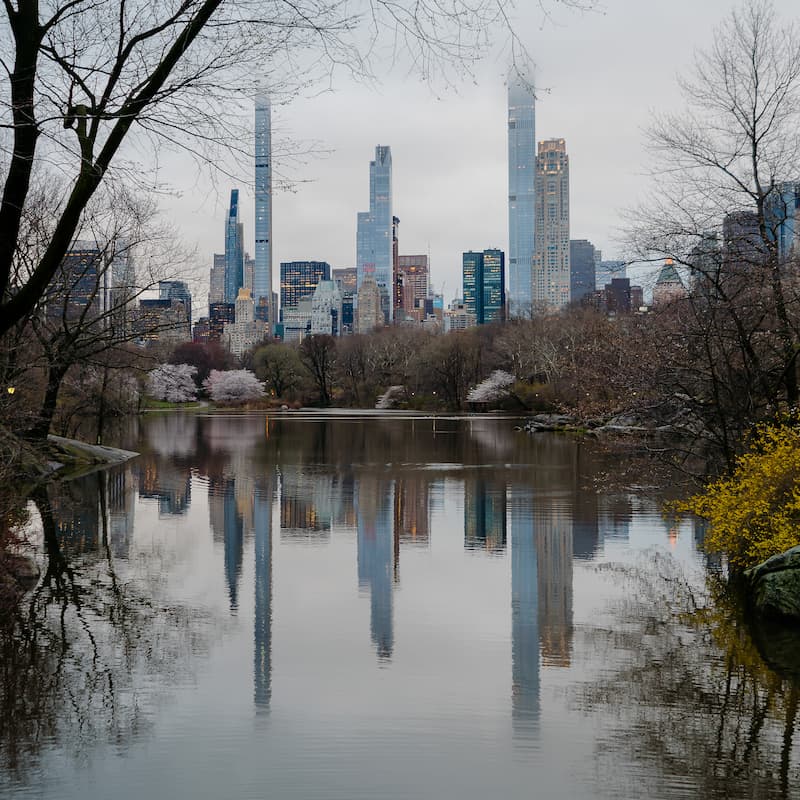 3.5-Hour Private Tours of Manhattan